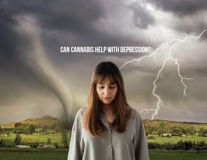 cannabis and depression