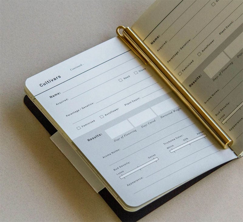 Gold leaf Journals