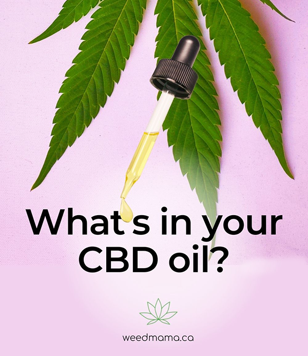 CBD carrier oils